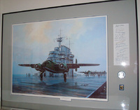 DSC01338.jpg