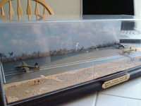 DSC01375.jpg